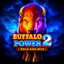 Buffalo Power 2 Hold and Win 徽标