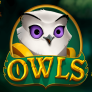 Owls 徽标