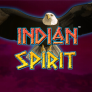 Indian Spirit 徽标