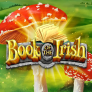 Book Of The Irish 徽标