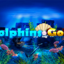 Dolphins Gold 徽标