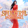Sakura Fortune 徽标