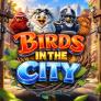 Birds in The City 徽标