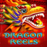 Dragon Reels 徽标