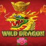 Wild Dragon 徽标