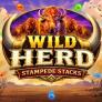 Wild Herd Stampede Stacks 徽标
