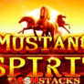Mustang Spirit Cash Stacks 徽标