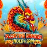 Floating Dragon Hold and Spin 徽标